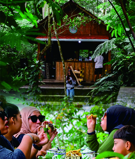 MerapiTrip.com